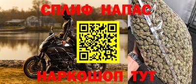 винт Кингисепп