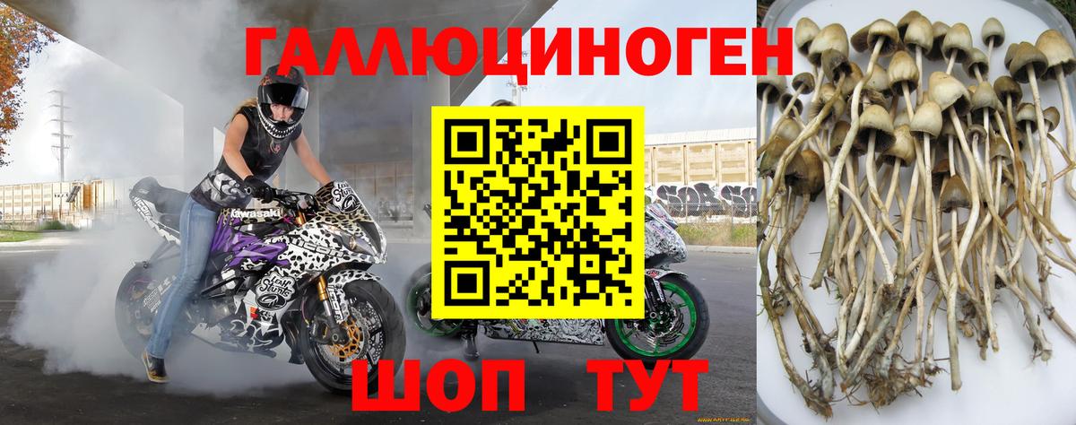 Шебекино  Галлюциногенные грибы прущие грибы  Псилоцибиновые грибы Cubensis  Вход с VPN 